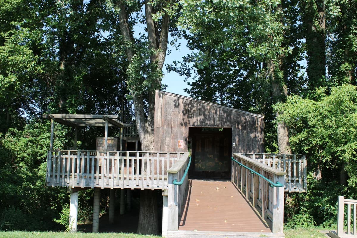 BookNoFees Beispielbild: Holzbaumhaus zwischen Baumstämmen mit Holzsteg und grünem Garten