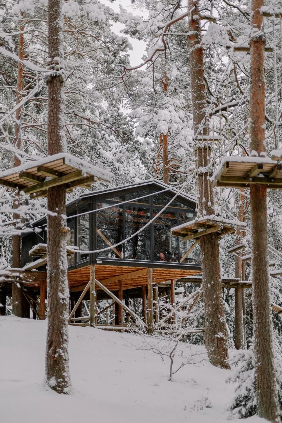 BookNoFees Beispielbild: Verglaste Baumhaushütte im verschneiten Wald
