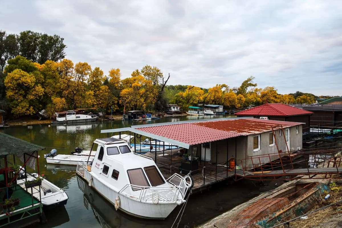 BookNoFees Beispielbild: Hausboot an einem Steg mit herbstlichen Bäumen am Ufer