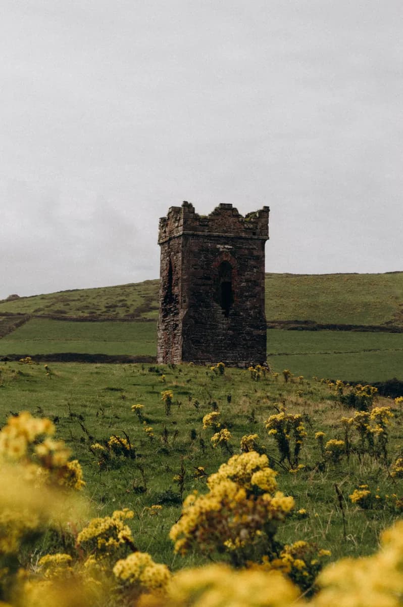BookNoFees Beispielbild: Kleiner historischer Steinturm auf einer Blumenwiese