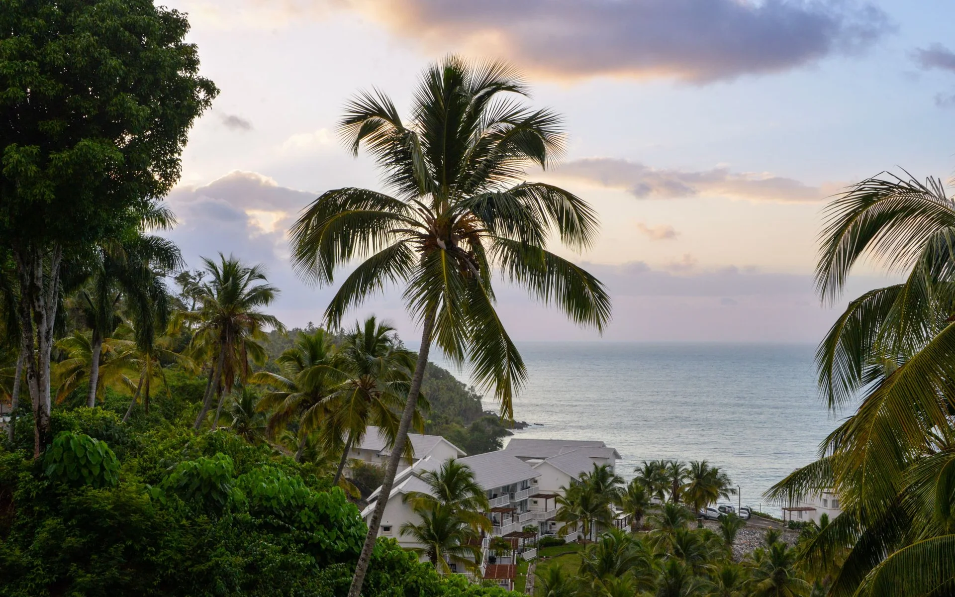 Palmen am Meer in Samaná bei Sonnenuntergang