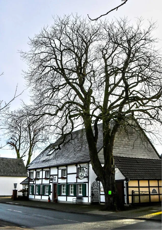 BookNoFees: Restaurant – Gaststätte Ziegler – Lippetal – Gaststätte Ziegler, Foto 1