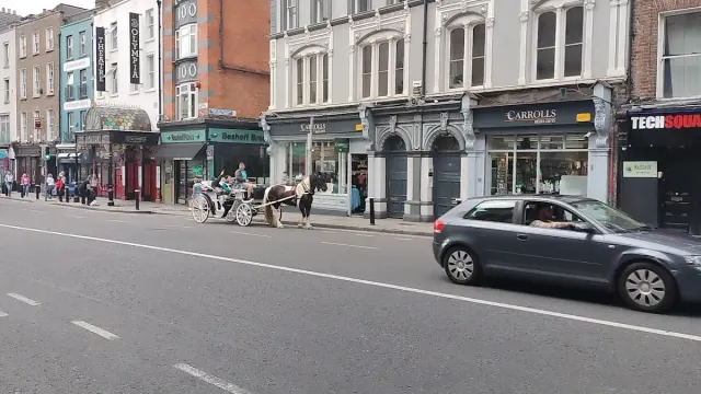 BookNoFees: Restaurant – Shawarma – Dublin – Shawarma, Foto 3