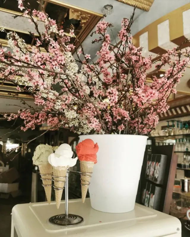 BookNoFees: Café – Eissalon Garda – Vienna – Garda Lounge, Foto 3