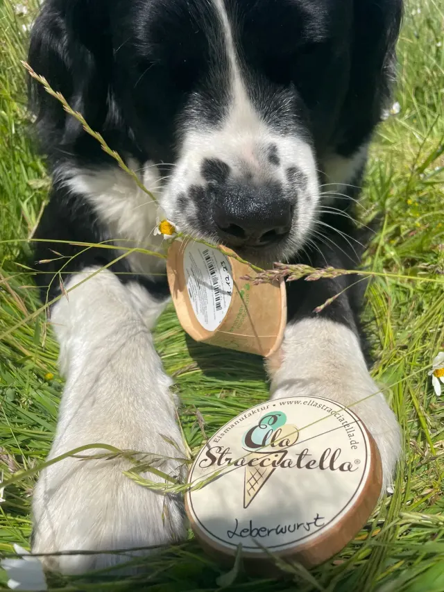 BookNoFees: Eisdiele – Ella Stracciatella Eismanufaktur – Iserlohn – Ella Stracciatella Eismanufaktur, Foto 3