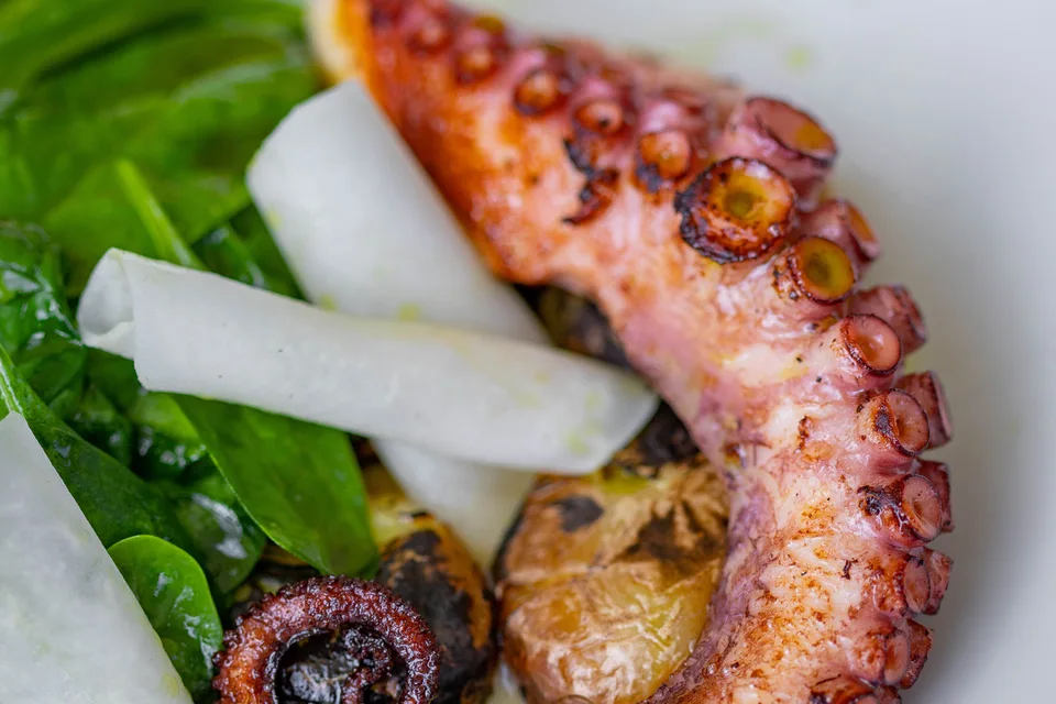 BookNoFees: Beispielfoto: Gegrillter Oktopus